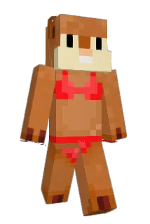 didi2134 Minecraft avatar full body