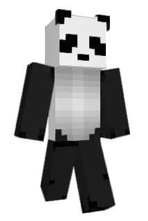 didier2nd Minecraft avatar full body