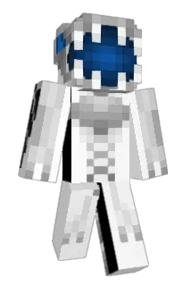 didzhiggs Minecraft avatar full body