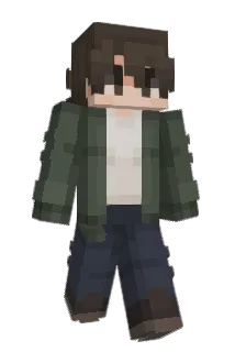 die011 Minecraft avatar full body