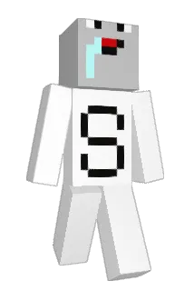 diePRISEsalz Minecraft avatar full body