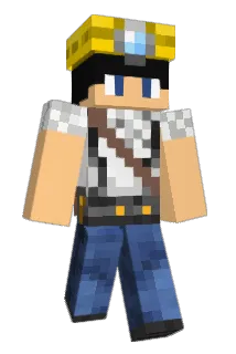 digduggg Minecraft avatar full body
