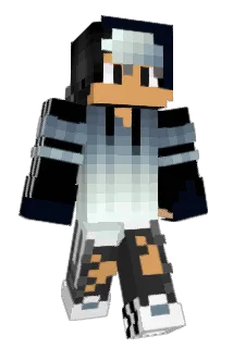 diidelphiis Minecraft avatar full body