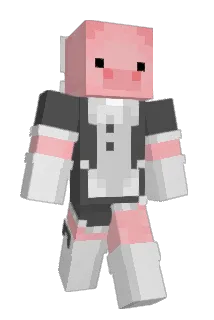dimmermushroom Minecraft avatar full body