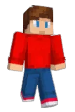 dimondsforall Minecraft avatar full body