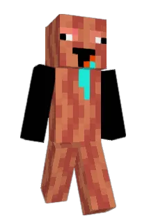 dingdongtatty Minecraft avatar full body