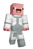 dinglefish14 Minecraft avatar full body