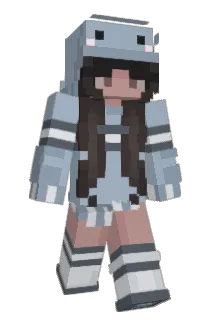 dipplebopper Minecraft avatar full body