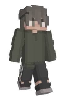 dippz Minecraft avatar full body