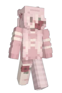 direwulf1313 Minecraft avatar full body