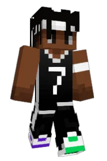 discacciati Minecraft avatar full body