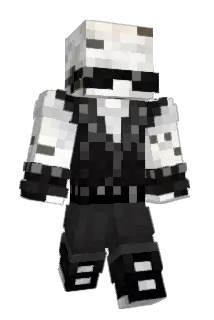 discohamster1 Minecraft avatar full body
