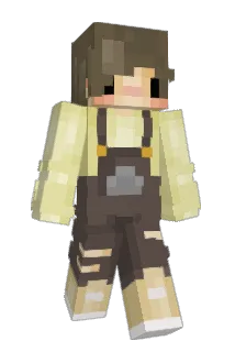 discomboobulated Minecraft avatar full body