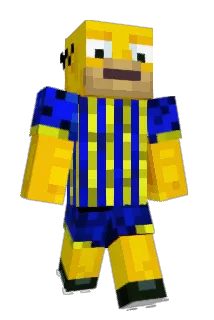 discopa Minecraft avatar full body
