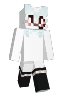 disgraphical Minecraft avatar full body
