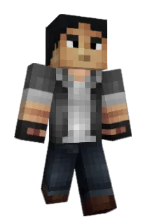 disko1982 Minecraft avatar full body