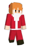 disrid Minecraft avatar full body