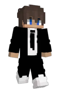 diwad12 Minecraft avatar full body