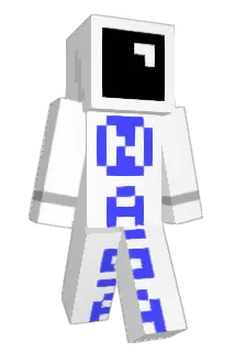 dj8663 Minecraft avatar full body