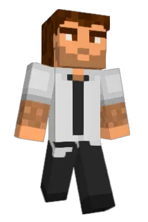 djferrise Minecraft avatar full body