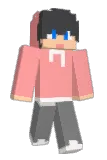 djrdnf Minecraft avatar full body