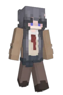 dkdmdidmdk Minecraft avatar full body