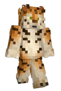 dkyngcowboy Minecraft avatar full body