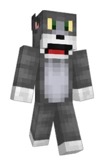 dlgodnr Minecraft avatar full body