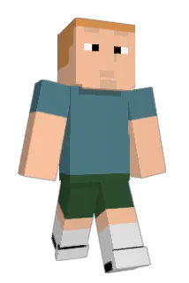 dmcgil Minecraft avatar full body