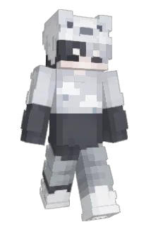 dmddo010 Minecraft avatar full body