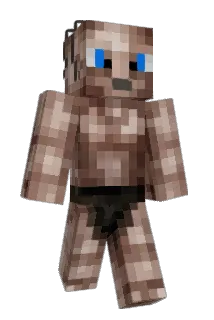 dmocs Minecraft avatar full body