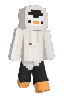 dmsco Minecraft avatar full body