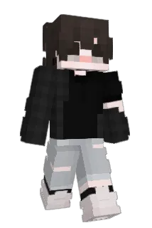 dmseey Minecraft avatar full body