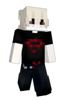 dmws2 Minecraft avatar full body