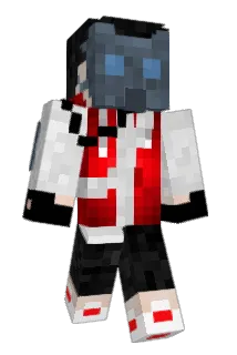 dnL12 Minecraft avatar full body