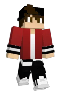 dnhype Minecraft avatar full body