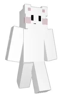 dnjsy Minecraft avatar full body