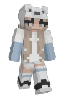 doanton8 Minecraft avatar full body