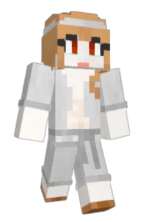 dobbyadobe Minecraft avatar full body