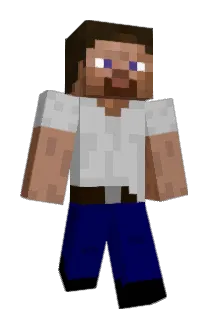 doc97460 Minecraft avatar full body