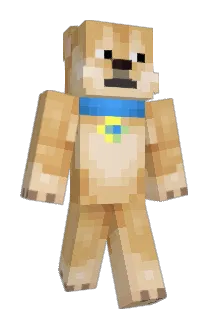doge_276 Minecraft avatar full body