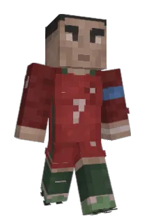 dogeee33 Minecraft avatar full body