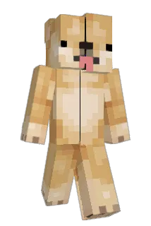 dogemaster123567 Minecraft avatar full body