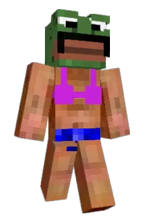 doger68 Minecraft avatar full body