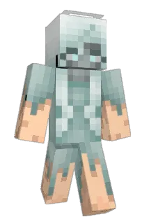 doggypoo Minecraft avatar full body