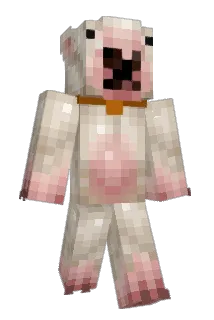 dogpickle3 Minecraft avatar full body