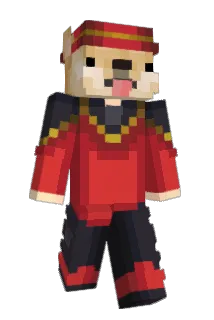 doguinhobr_ Minecraft avatar full body