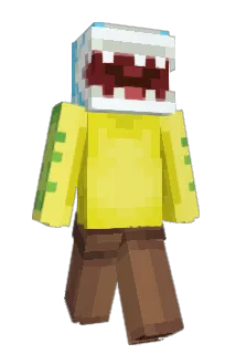 doitducky Minecraft avatar full body