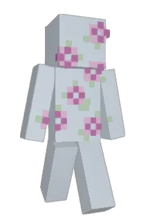 dojq Minecraft avatar full body
