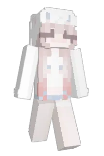 dolhpn Minecraft avatar full body